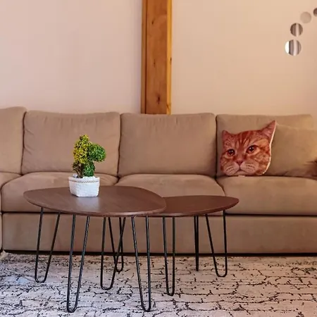 Super Spacious Rooftop Flat / Amazing City View Apartament Wlora